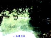 部编本八年级语文下册第10课《小石潭记》课件（共48张PPT）