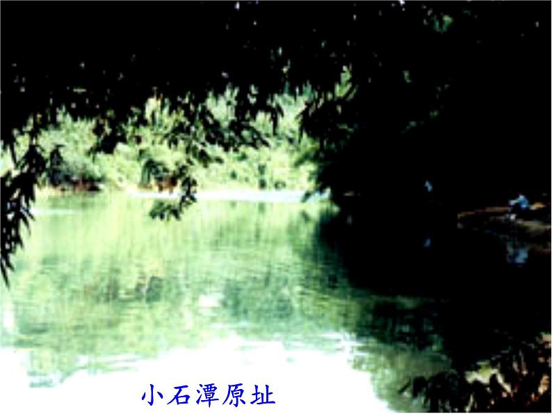 部编本八年级语文下册第10课《小石潭记》课件（共48张PPT）第4页