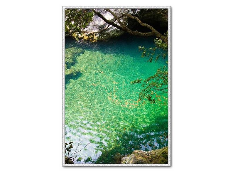 部编本八年级语文下册第10课《小石潭记》课件（共48张PPT）第5页