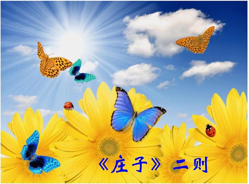 部编版八年级语文下册第21课《庄子》二则之《北冥有鱼》课件（共43张PPT）第4页