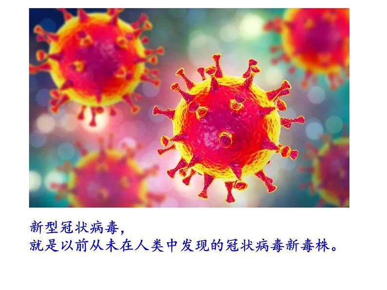 部编版九年级语文上册开学第一课（共33张PPT）03