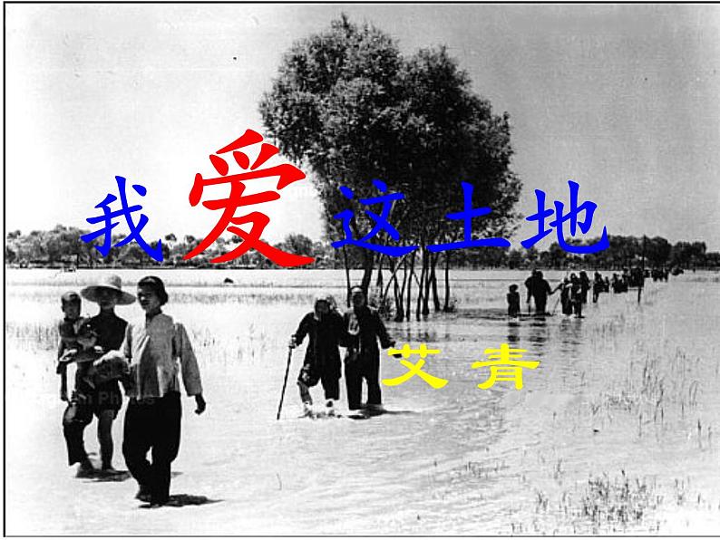 部编版九年级语文上册第2课《我爱这土地》课件(共43张PPT)08