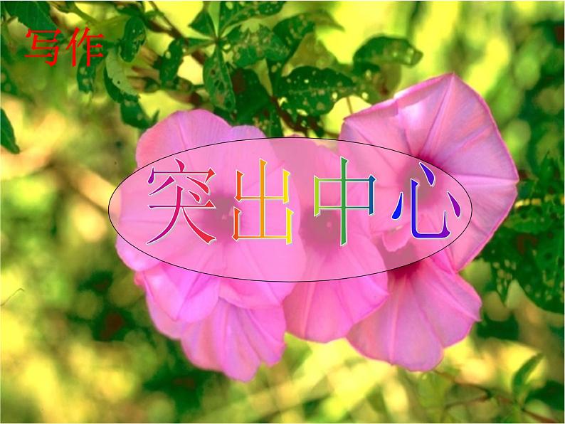 写作  突出中心  主课件第1页