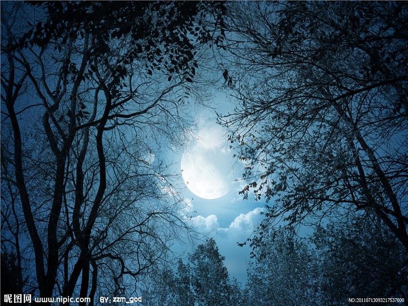 写作《多角度描写景物》1课件PPT04