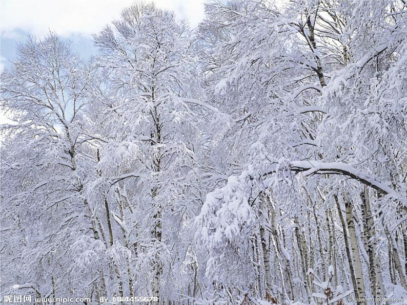 写作《多角度描写景物》1课件PPT06