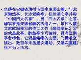 《醉翁亭记》pptx课件