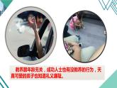 论教养(精品课件)