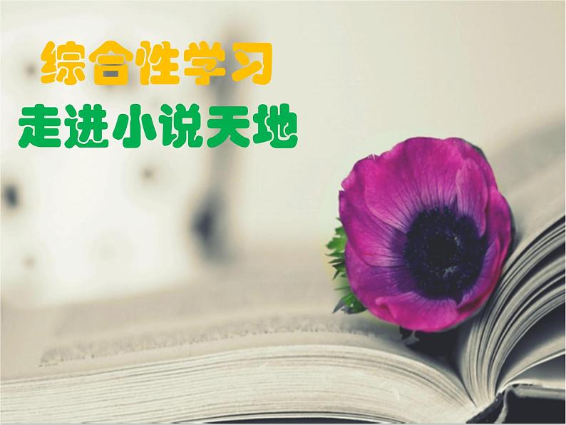 部编人教版九上综合性学习：走进小说天地课件02