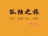人教部编版九年级语文上册课件：第16课孤独之旅