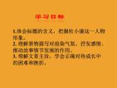 人教部编版九年级语文上册课件：第16课孤独之旅