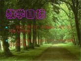 《我的叔叔于勒》课件(公开课)