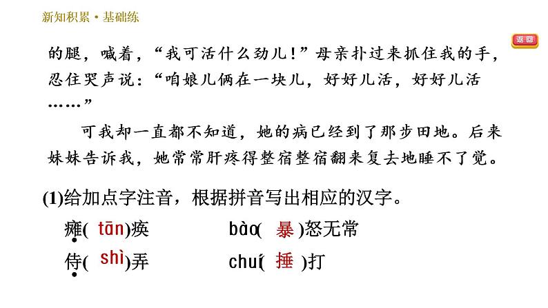 部编版七年级上册语文习题课件 第2单元 5 秋天的怀念第5页
