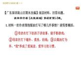 部编版七年级上册语文习题课件 第3单元 非连续文本阅读专题（三）