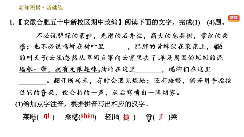 部编版七年级上册语文习题课件 第3单元 9 从百草园到三味书屋04