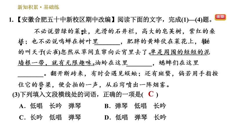 部编版七年级上册语文习题课件 第3单元 9 从百草园到三味书屋06