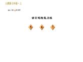 部编版七年级上册语文习题课件 第1单元 3 雨的四季