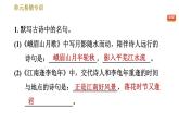 部编版七年级上册语文习题课件 第3单元 单元易错专训
