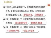 部编版七年级上册语文习题课件 第3单元 单元易错专训