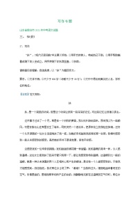 2021年山东省中考语文试题分类精编精练：写作专题