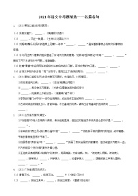 2021年中考语文真题精编精练：《名篇名句》试卷