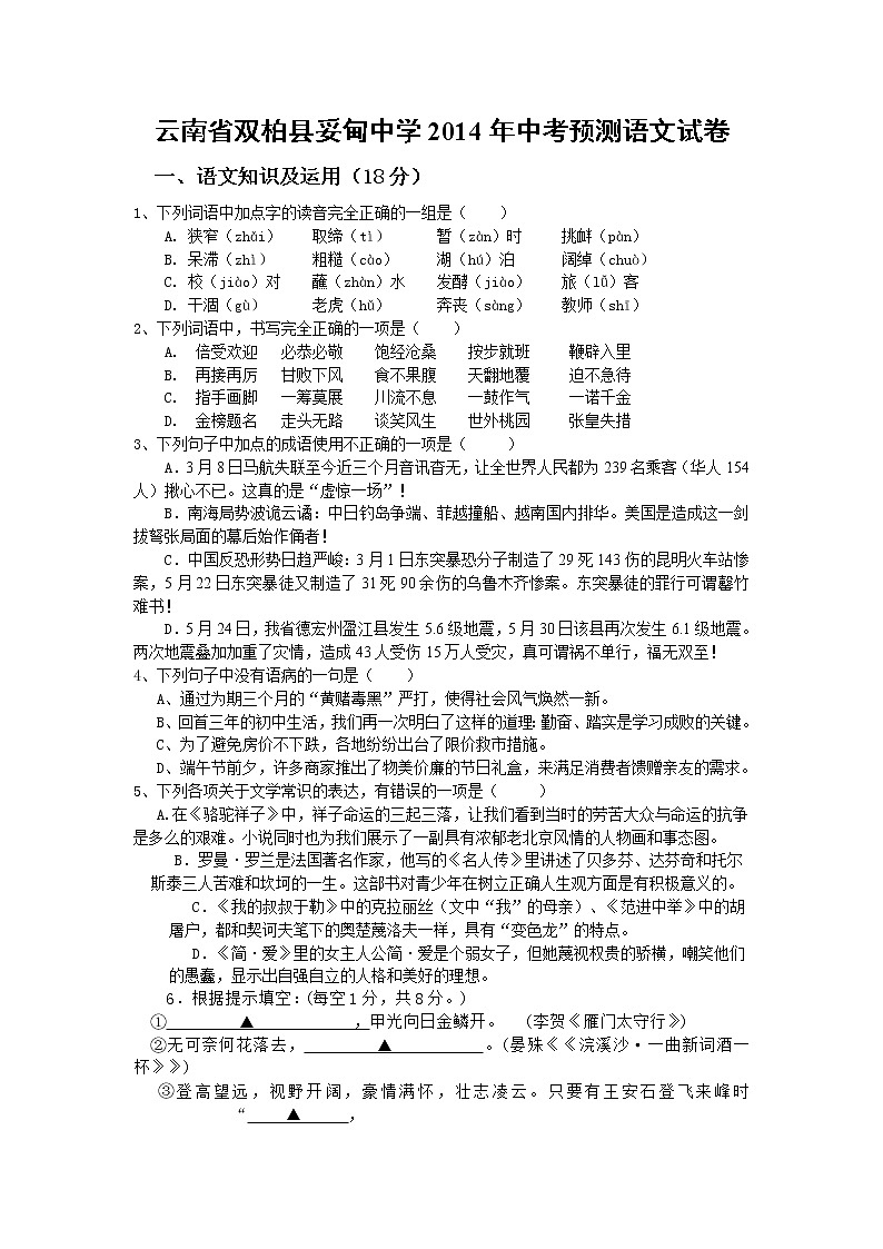 云南省双柏县妥甸中学2014年中考预测语文试卷第1页