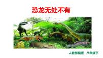 初中语文人教部编版八年级下册恐龙无处不有评课ppt课件