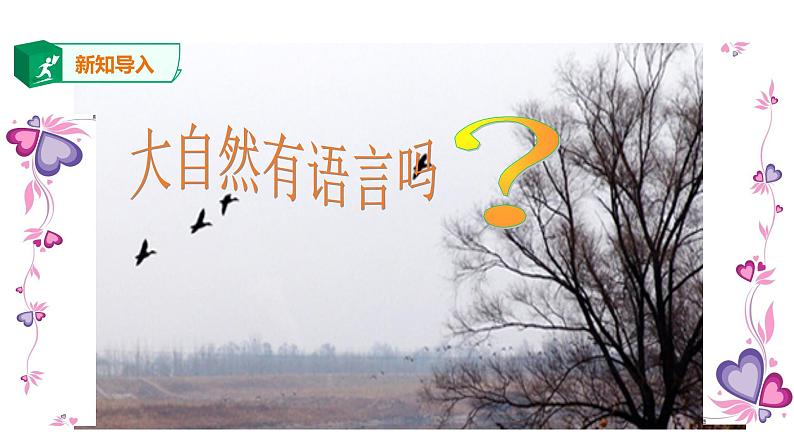 部编版语文八年级下册《大自然的语言》语文课件第2页