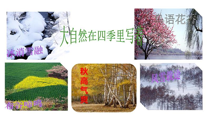 部编版语文八年级下册《大自然的语言》语文课件第4页