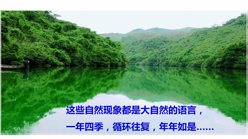 部编版语文八年级下册《大自然的语言》语文课件第5页