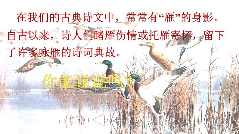 部编版语文八年级下册《大雁归来》语文课件.02