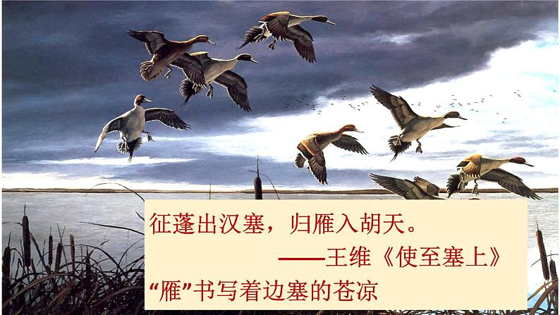 部编版语文八年级下册《大雁归来》语文课件.05