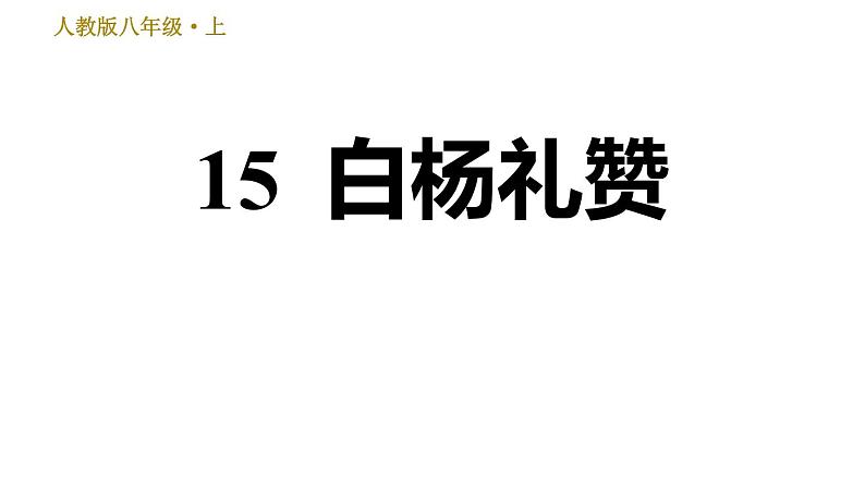 部编版八年级上册语文习题课件 第4单元 15 白杨礼赞01