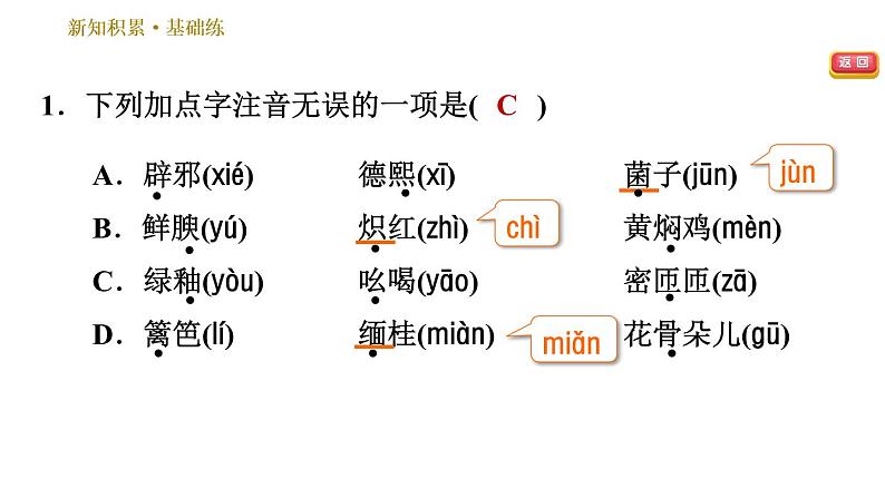 部编版八年级上册语文习题课件 第4单元 17 昆明的雨.04