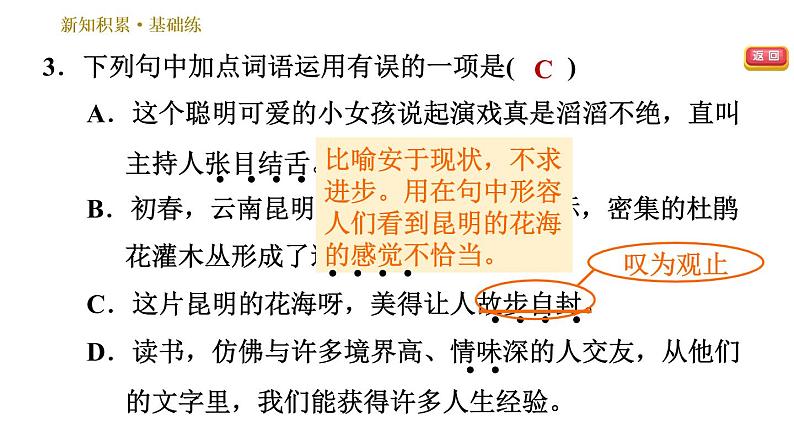 部编版八年级上册语文习题课件 第4单元 17 昆明的雨.06