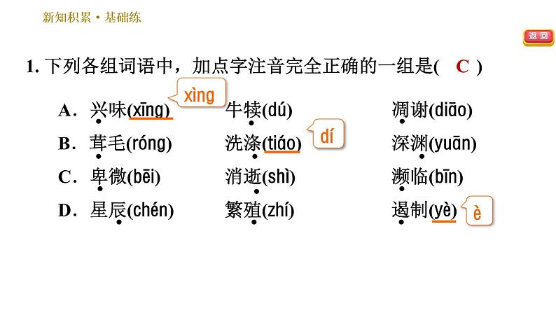 部编版八年级上册语文习题课件 第4单元 16 散文二篇.04