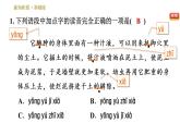 部编版八年级上册语文习题课件 第5单元 20 蝉.