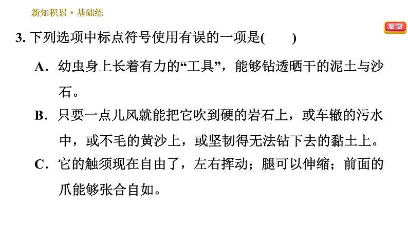 部编版八年级上册语文习题课件 第5单元 20 蝉.第6页