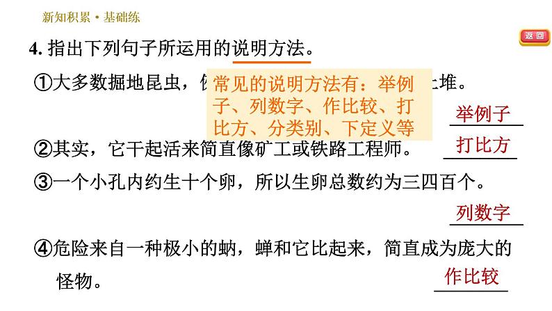 部编版八年级上册语文习题课件 第5单元 20 蝉.第8页