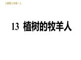 部编版七年级上册语文习题课件 第4单元 13 植树的牧羊人