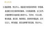 部编版七年级上册语文习题课件 第5单元 单元写作：如何突出中心