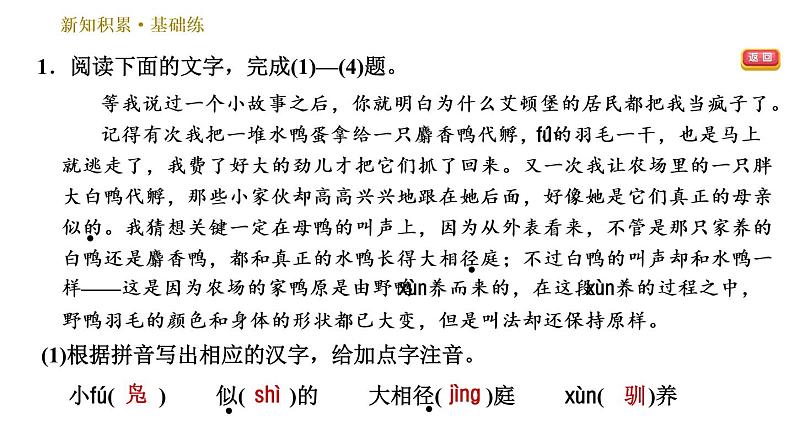 部编版七年级上册语文习题课件 第5单元 17 动物笑谈04