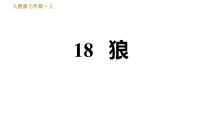 人教部编版七年级上册18 狼习题ppt课件