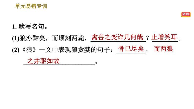 部编版七年级上册语文习题课件 第5单元 单元易错专训第3页