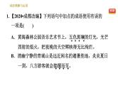 部编版八年级上册语文习题课件 期末专题训练 2.专题二 词语理解与运用