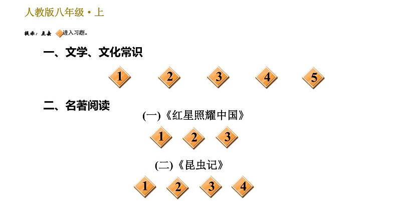 部编版八年级上册语文 期末专题训练 习题课件02