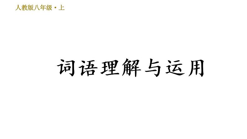 部编版八年级上册语文 期末专题训练 习题课件01