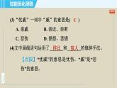 人教版九年级上册语文课件 5. 我　看