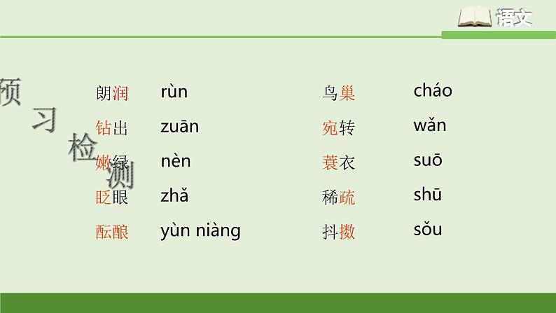 《春》七上语文课件PPT第4页