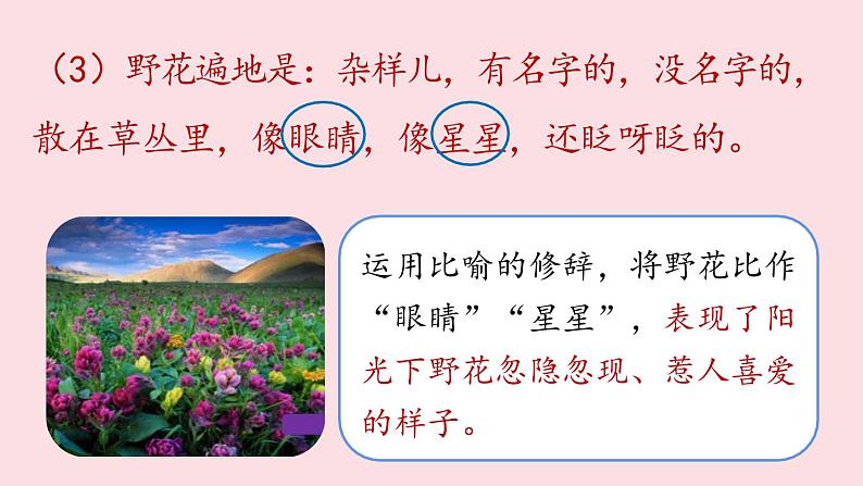 人教部编版初中 / 语文七年级（上册）第1单元 1《春》课时2课件PPT07