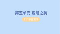 初中语文人教部编版八年级上册20* 梦回繁华教学课件ppt